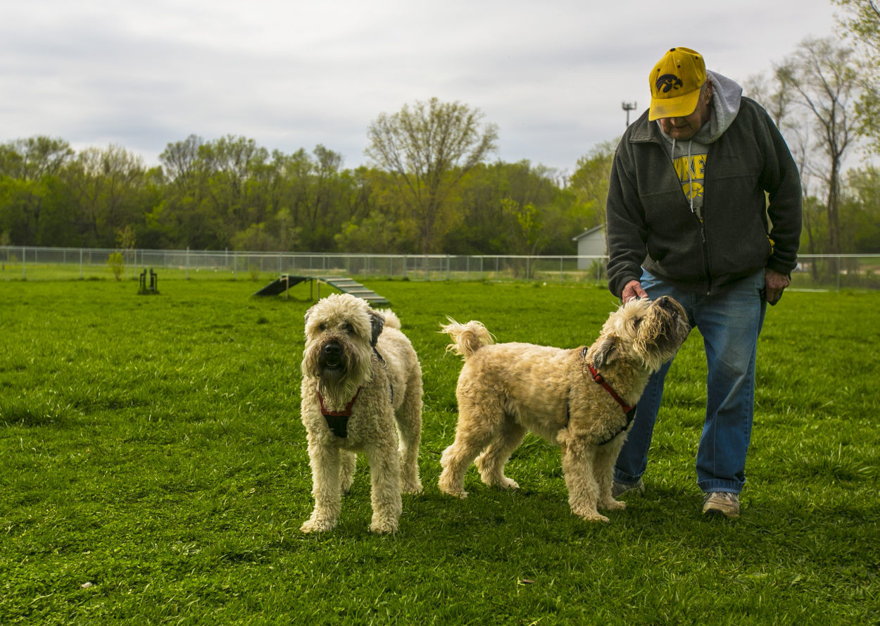 Mason City Dog Park